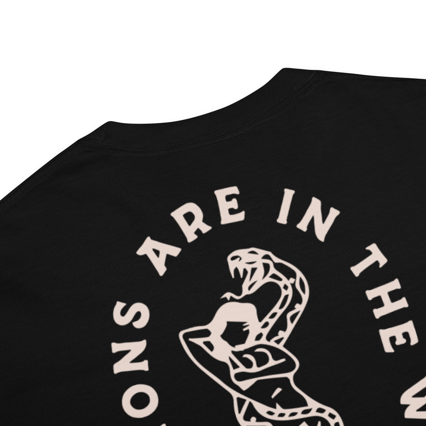 My Demons Are in the Water Men's Tee in Black