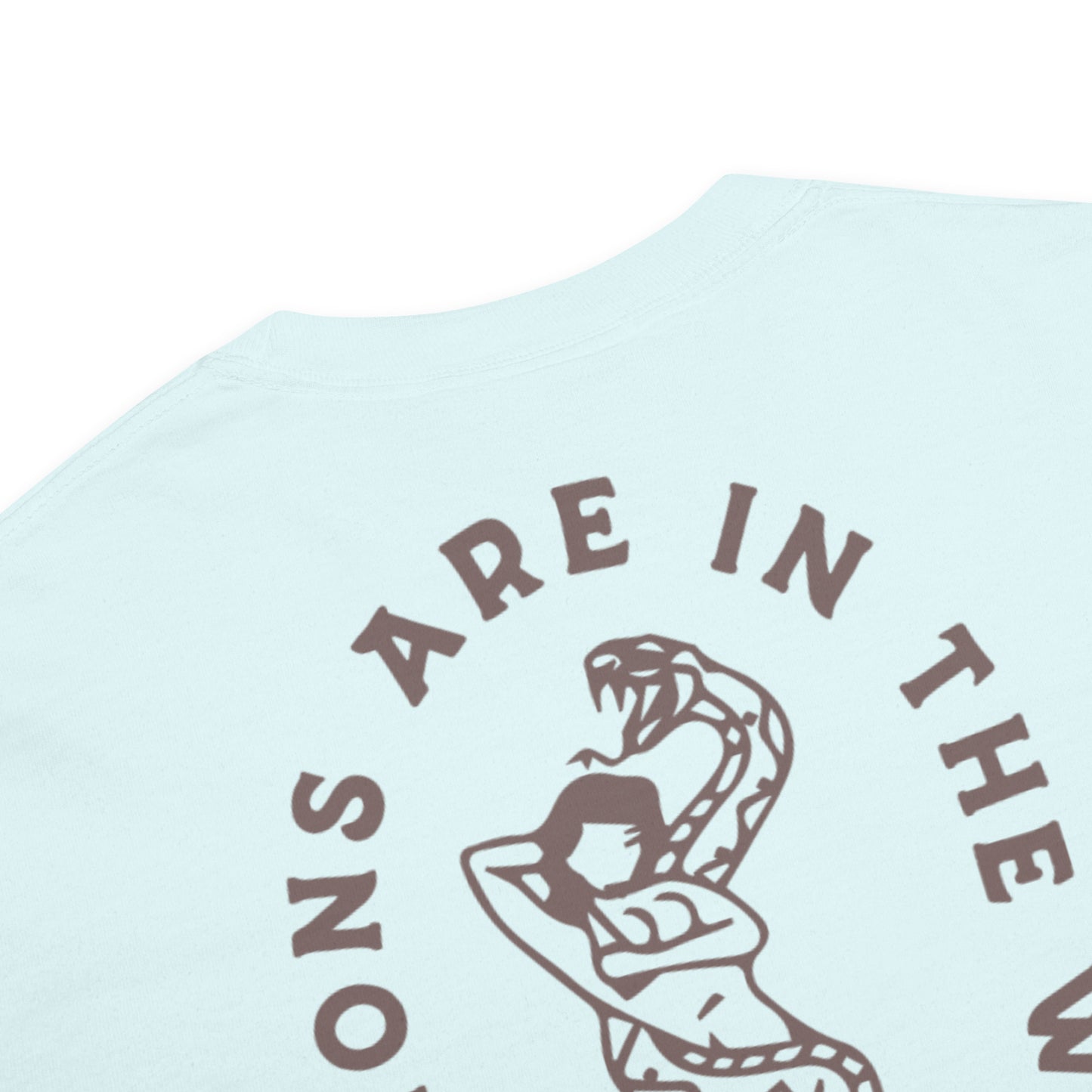 My Demons Are in the Water Men's Tee in Chambray